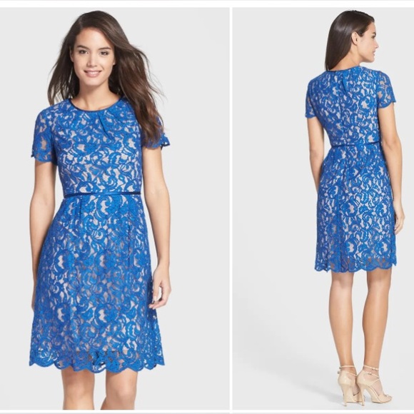 Adrianna Papell Dresses & Skirts - Adrianna Papell scalloped Blue Lace Dress size: 12